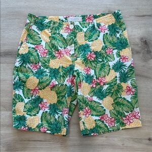 🍍Talbots Tropical Pineapple Print Shorts🍍